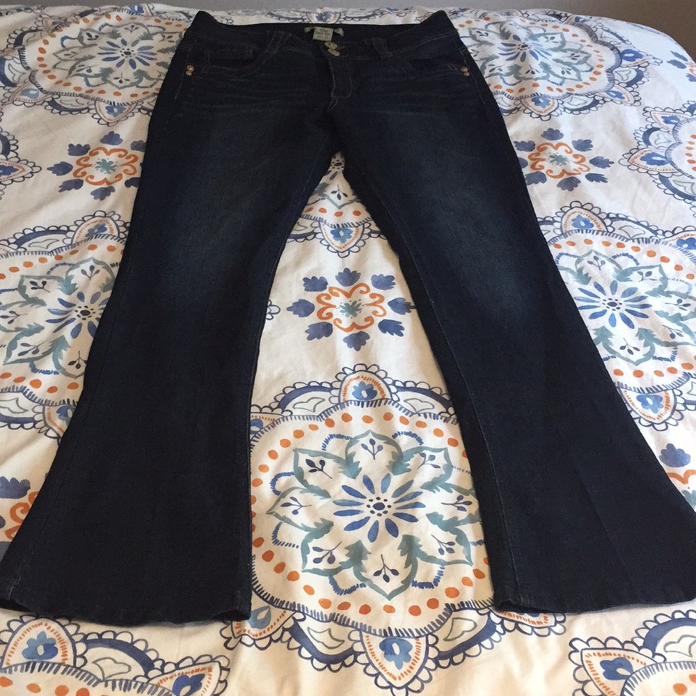 Democracy Rebel Barely Boot Jeans
